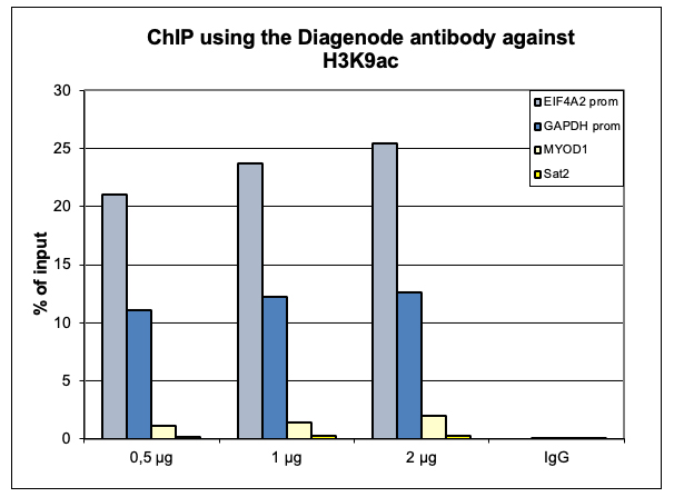 H3K9ac Antibody ChIP Grade