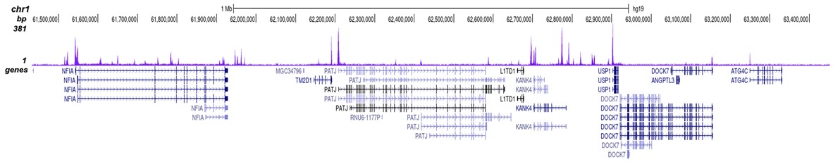 H3K4me2 Antibody for ChIP-seq