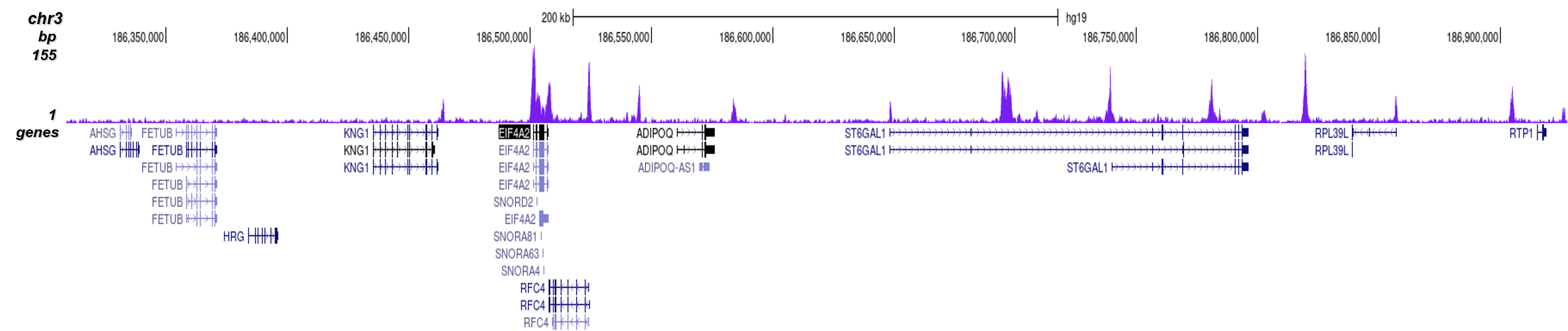 H3K4me2 Antibody validated in ChIP-seq