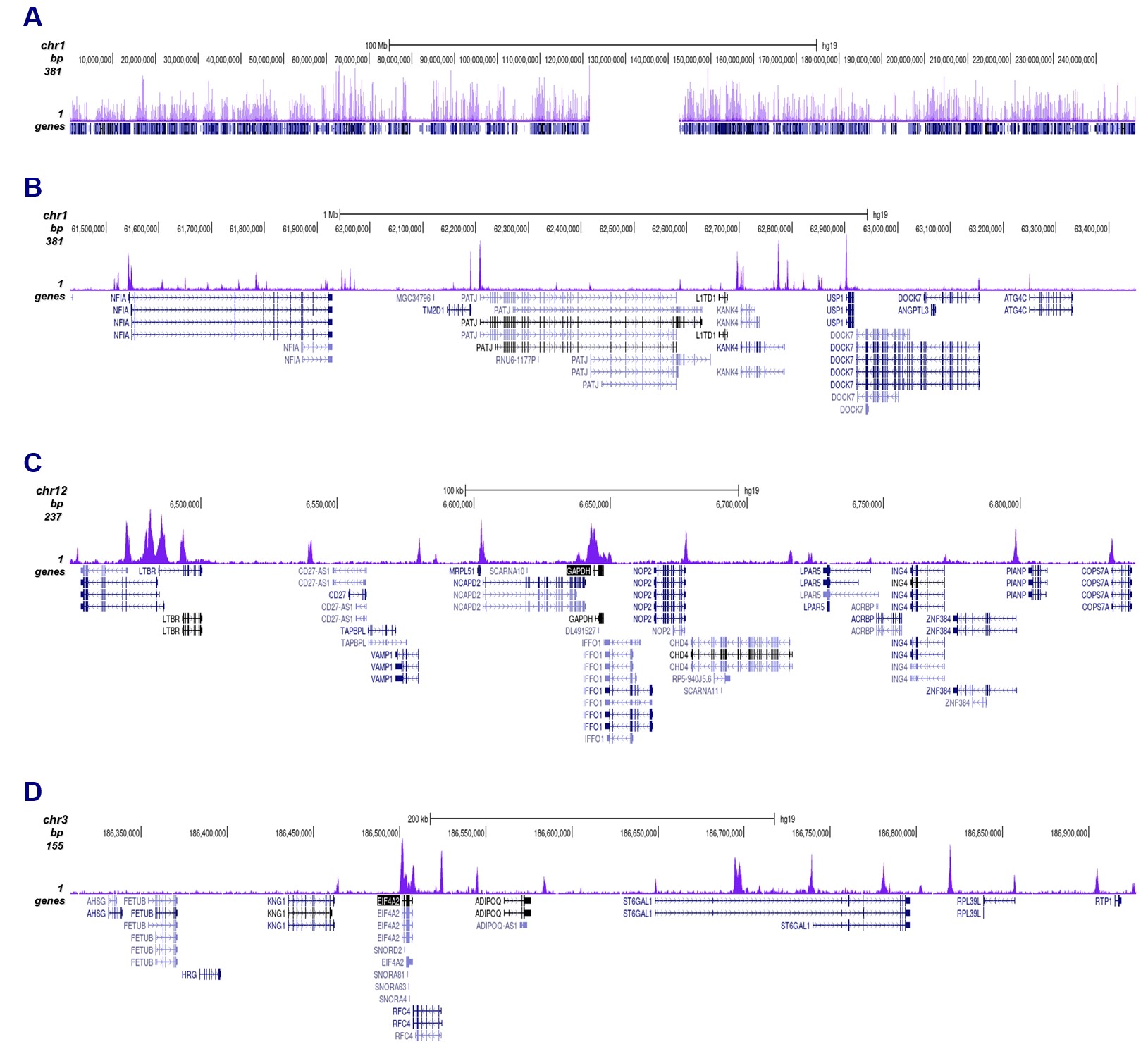 H3K4me2 Antibody Cut &