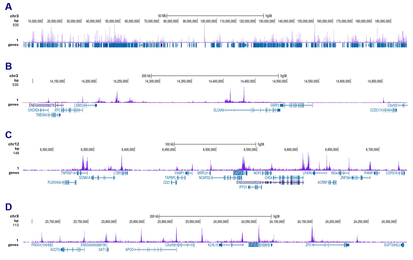 H3K4me2 Antibody Cut &