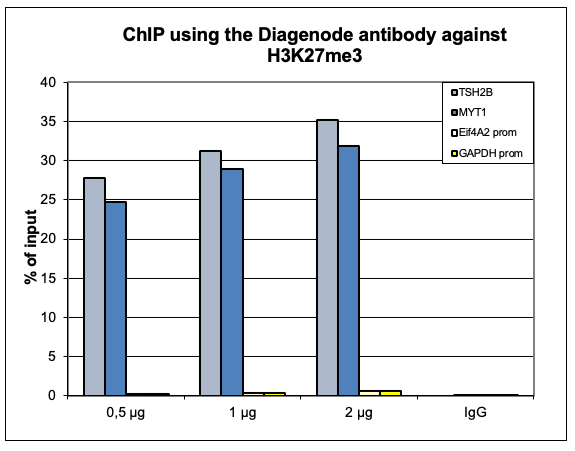 H3K27me3 Antibody ChIP Grade