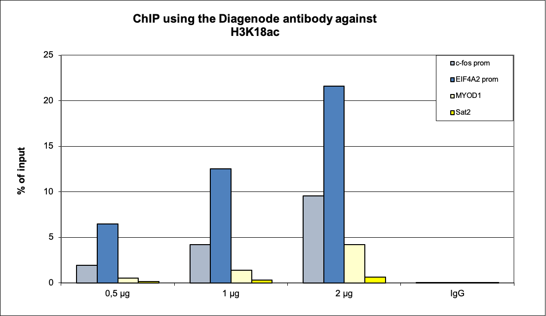 H3K18ac Antibody ChIP Grade