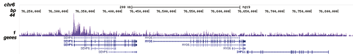 MLL1 Antibody validated in ChIP-seq