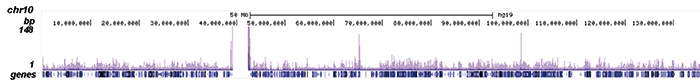 MLL1 Antibody ChIP-seq Grade