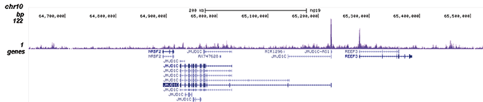 MLL1 Antibody for ChIP-seq