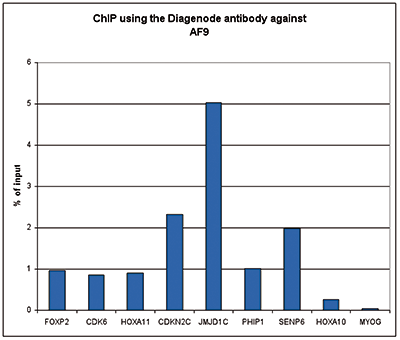 AF9 Antibody ChIP Grade