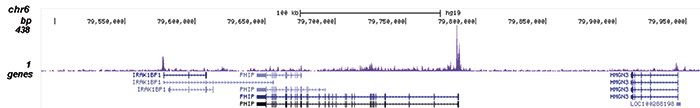 AF9 Antibody for ChIP-seq