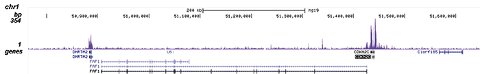 AF9 Antibody for ChIP-seq assay 