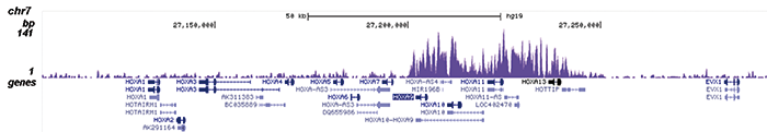 AF9 Antibody ChIP-seq Grade