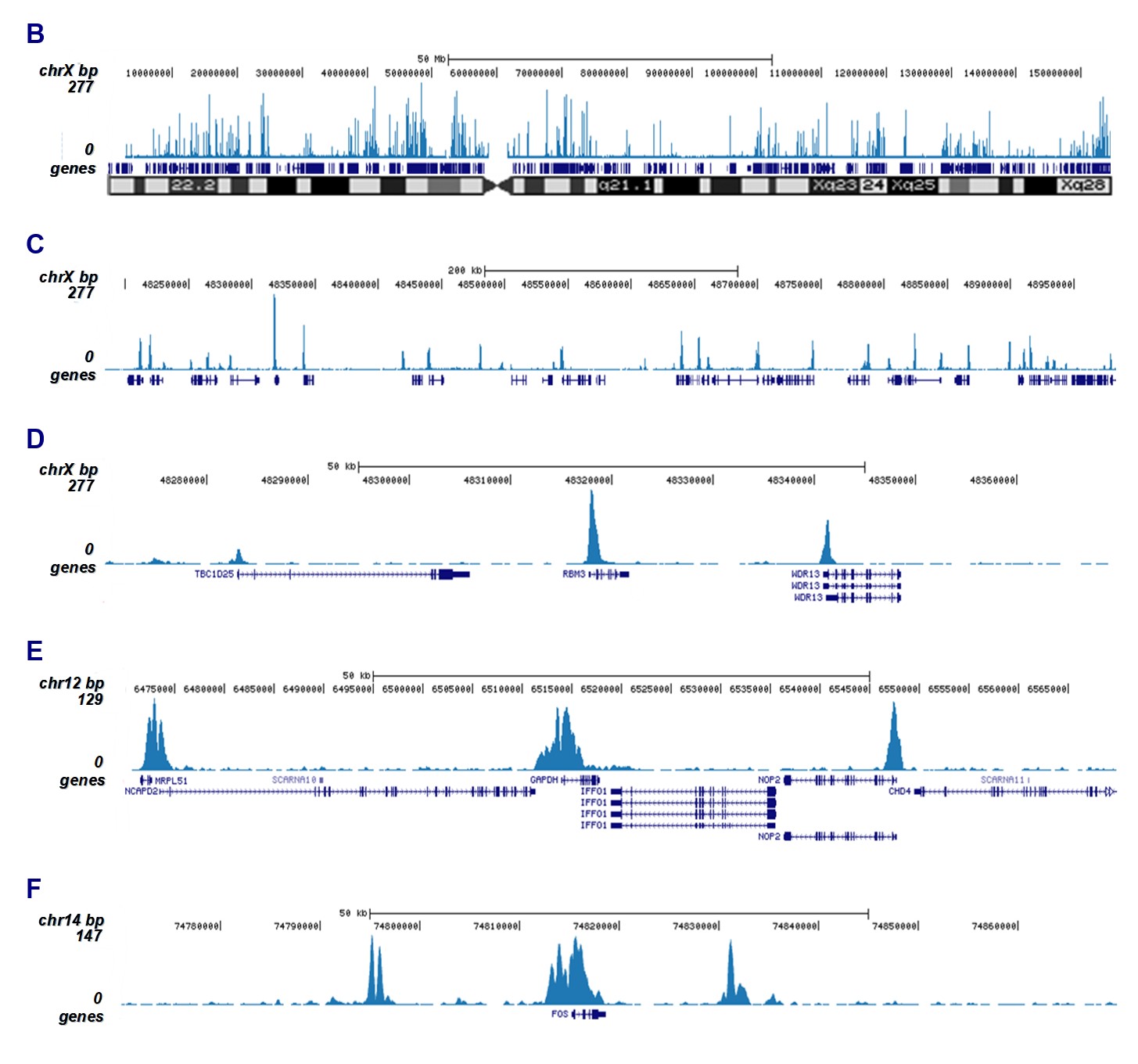H3K9/14ac Antibody for ChIP-seq