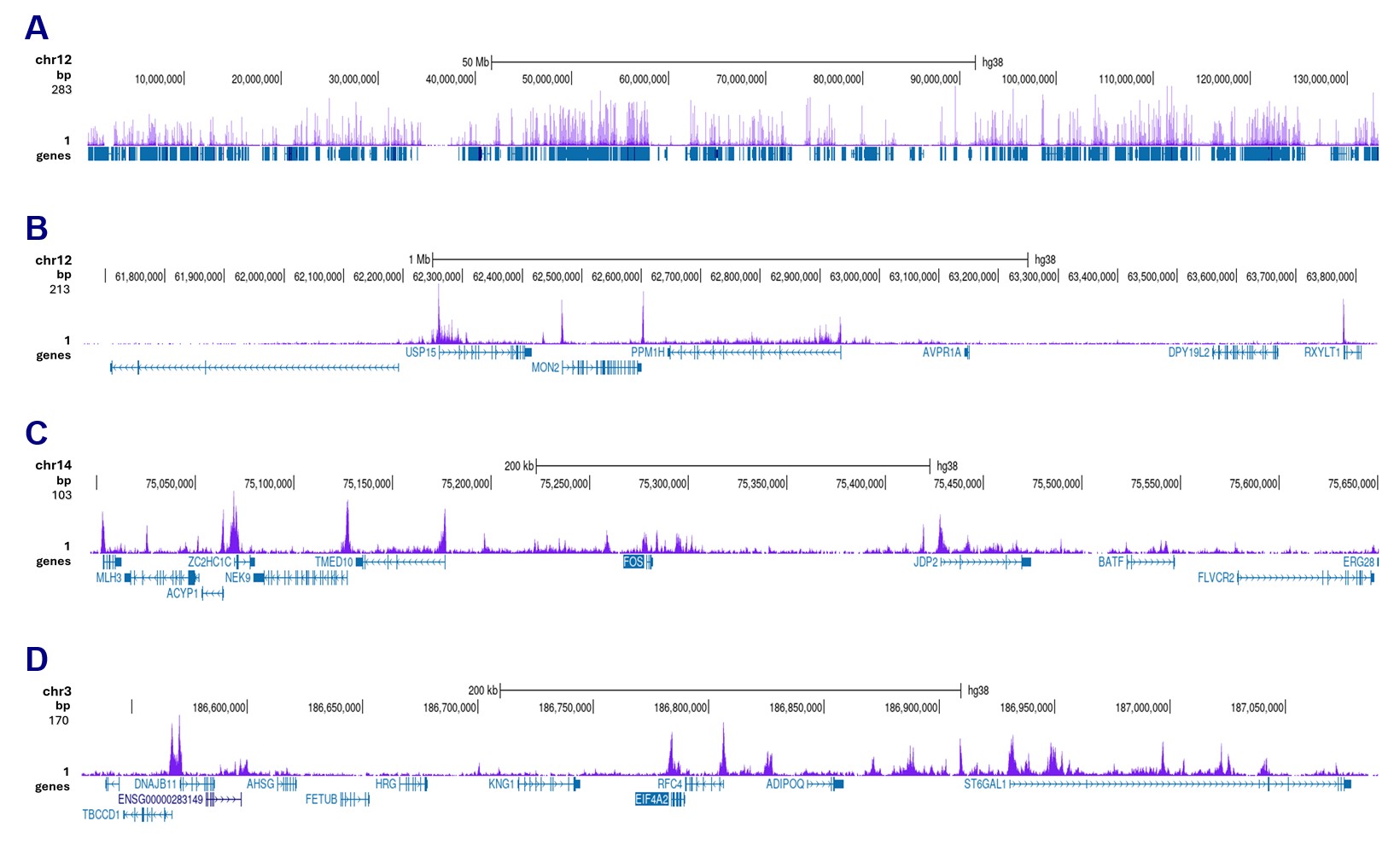 H3K9/14ac Antibody for ChIP-seq