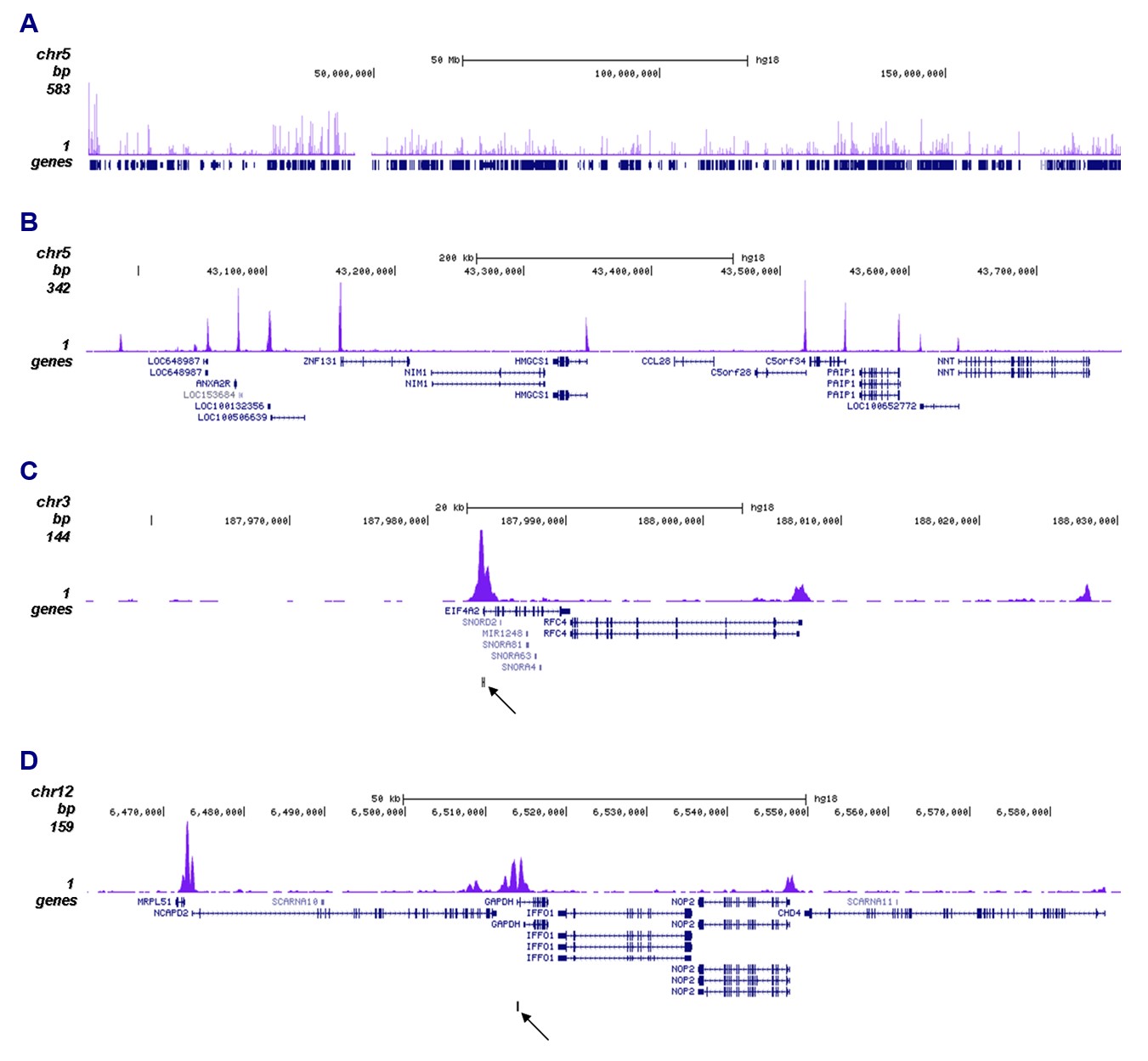 H4K5,8,12,16ac Antibody ChIP-seq Grade