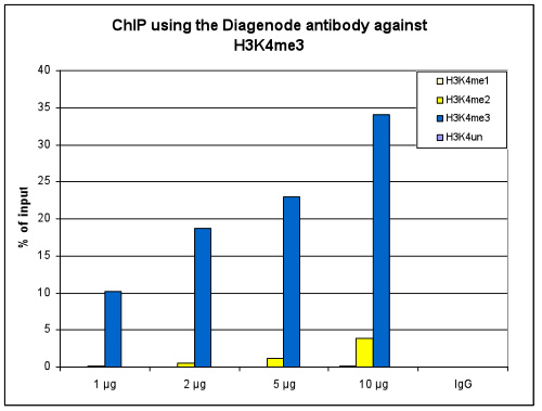 H3K4me3 Antibody ChIP Grade