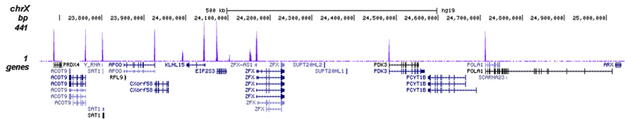 H3K4me3 Antibody for ChIP-seq