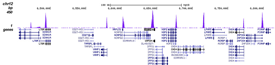H3K4me3 Antibody for ChIP-seq assay