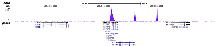 H3K4me3 Antibody validated in ChIP-seq