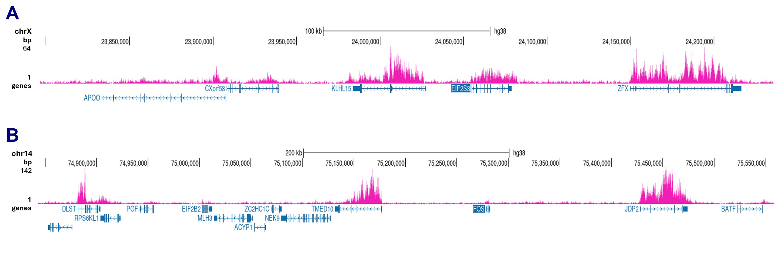 H4K20me1 Antibody CUT and Tag