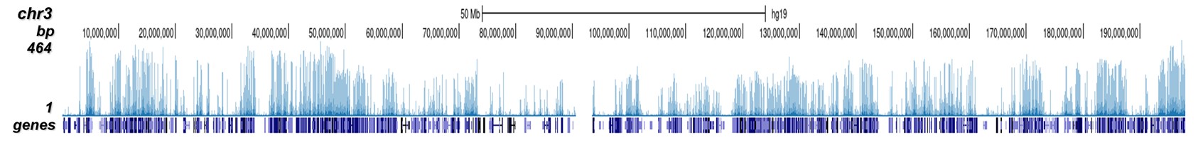 H3K4me2 Antibody Cut &