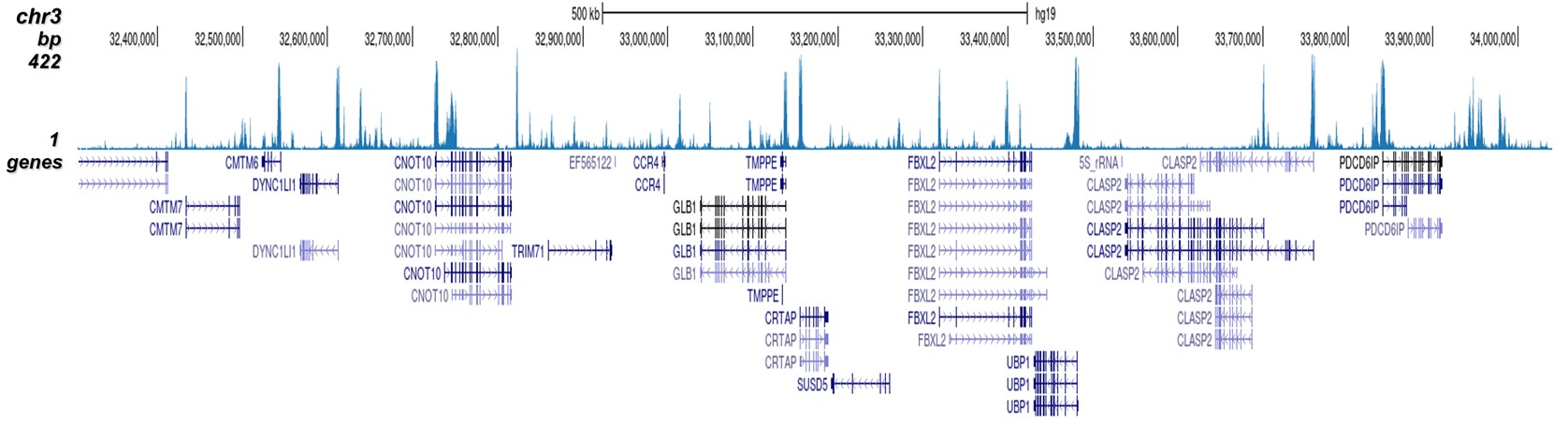 H3K4me2 Antibody for ChIP-seq