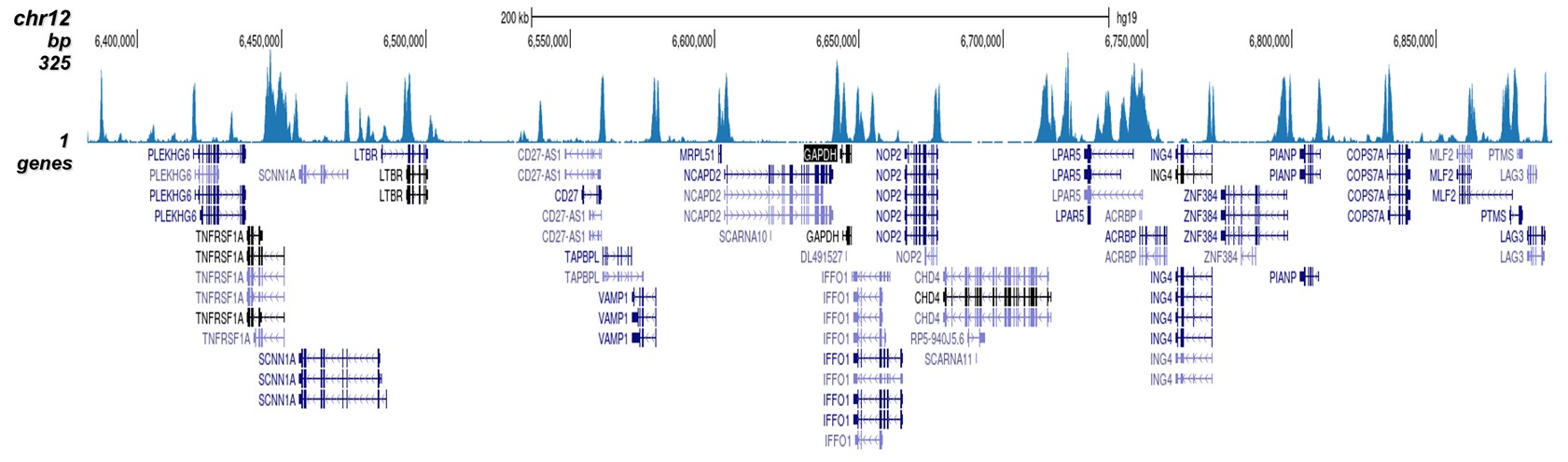H3K4me2 Antibody validated in ChIP-seq
