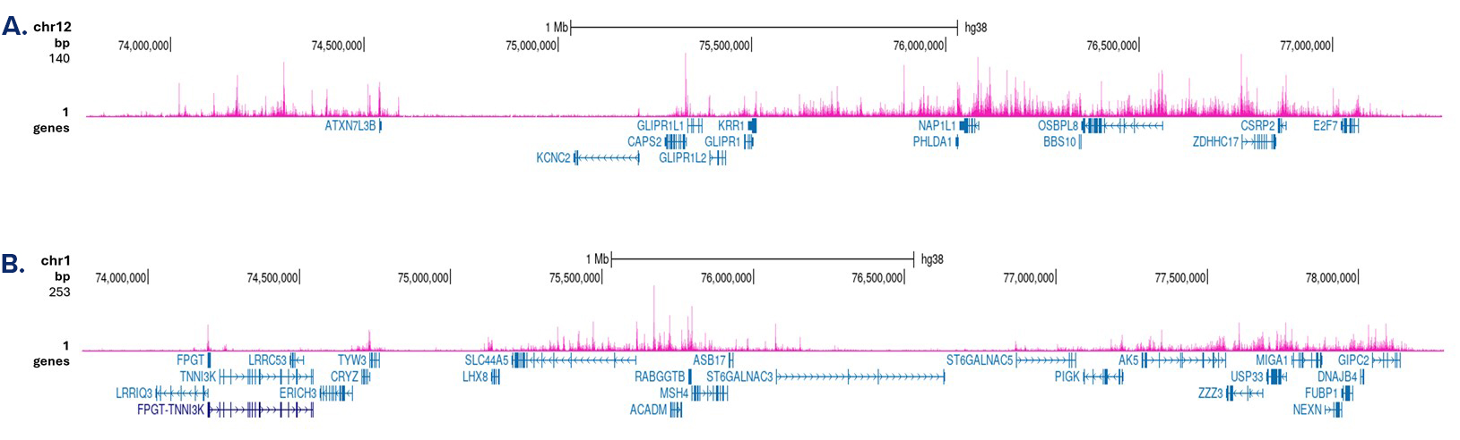 H3K4me1 Antibody CUT&Tag Grade