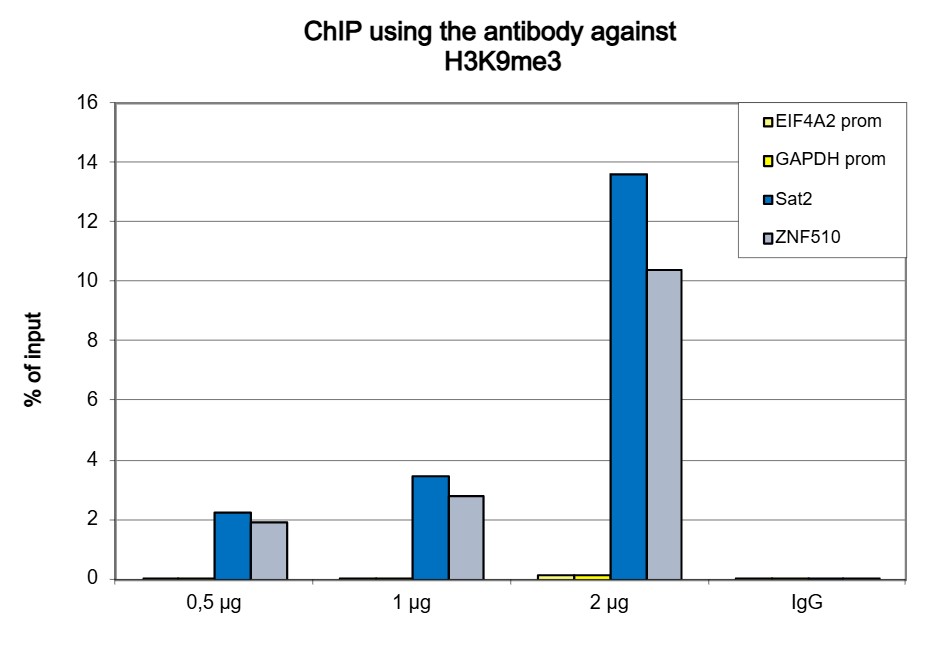 H3K9me3 Antibody ChIP Grade