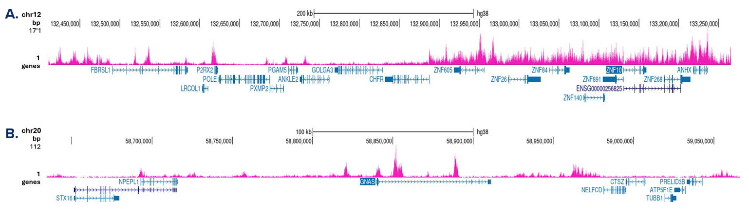 H3K9me3 Antibody CUT&Tag Grade