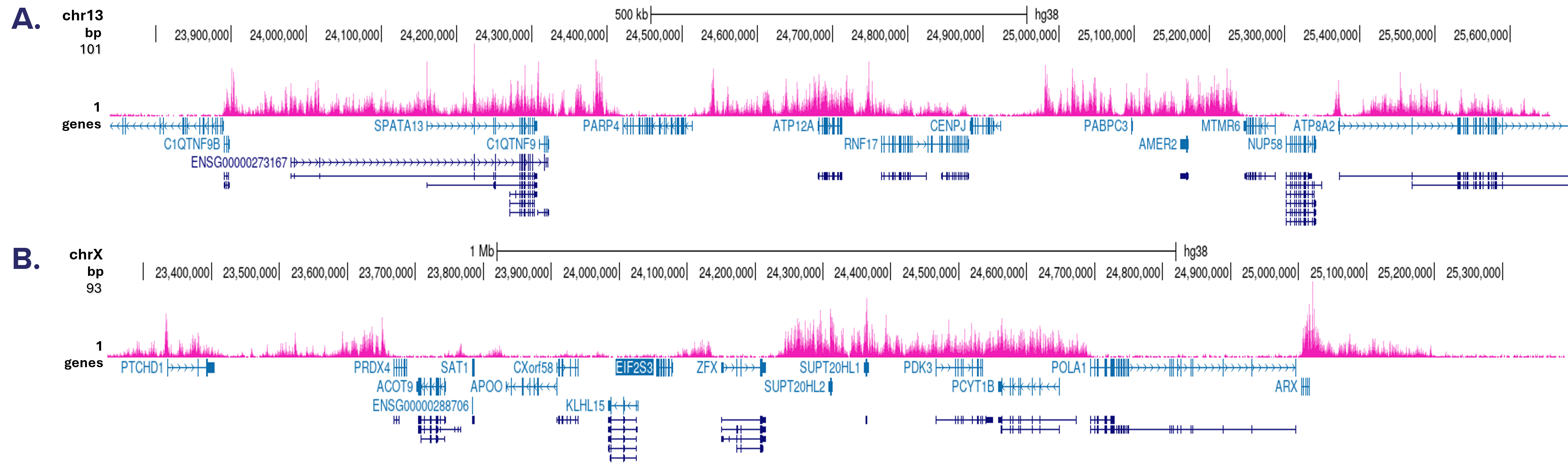 H3K27me3 Antibody CUT and Tag Grade