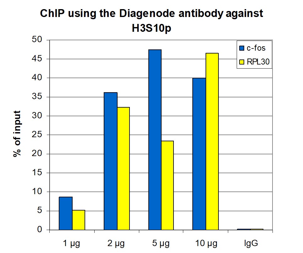 H3S10p Antibody ChIP Grade