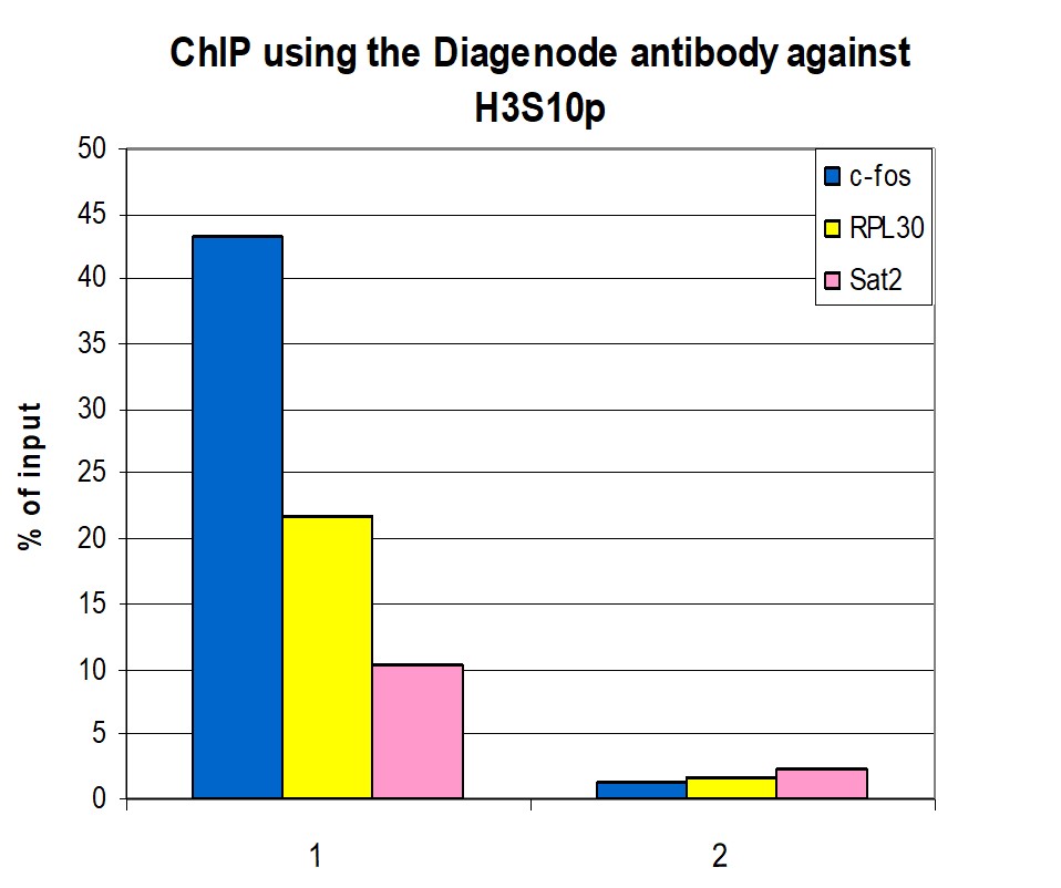 H3S10p Antibody ChIP Grade