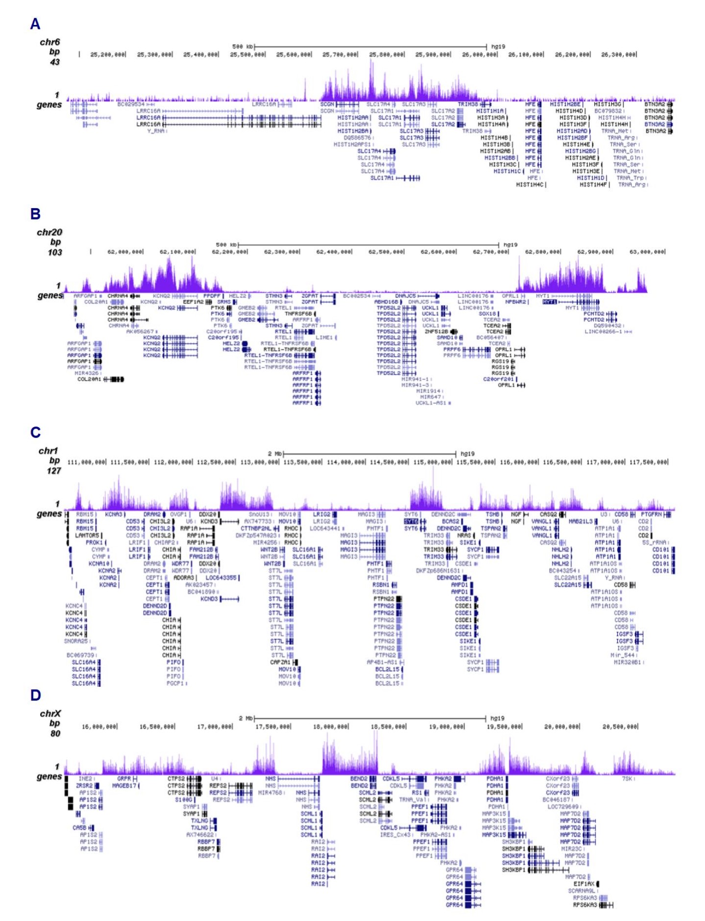 H3K27me3 Antibody for ChIP-seq