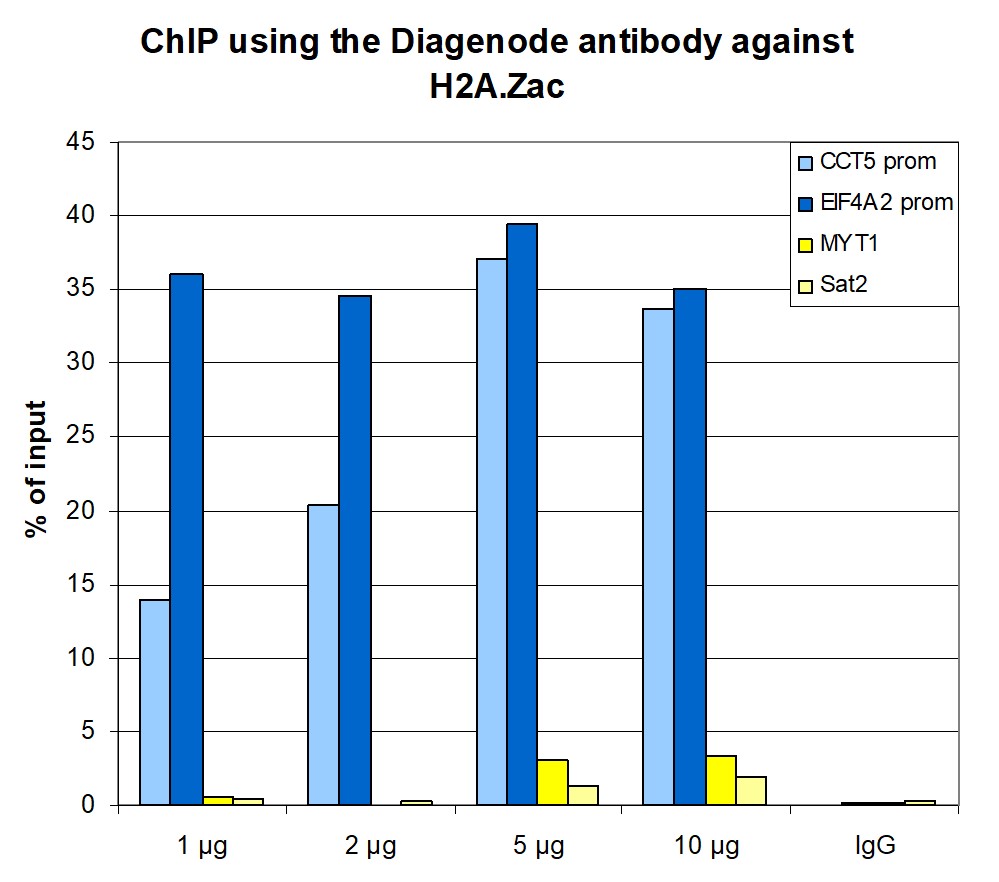 H2A.Zac Antibody ChIP Grade