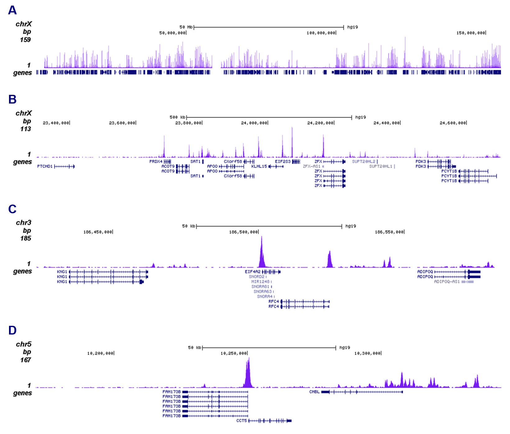 H2A.Zac Antibody ChIP-seq Grade