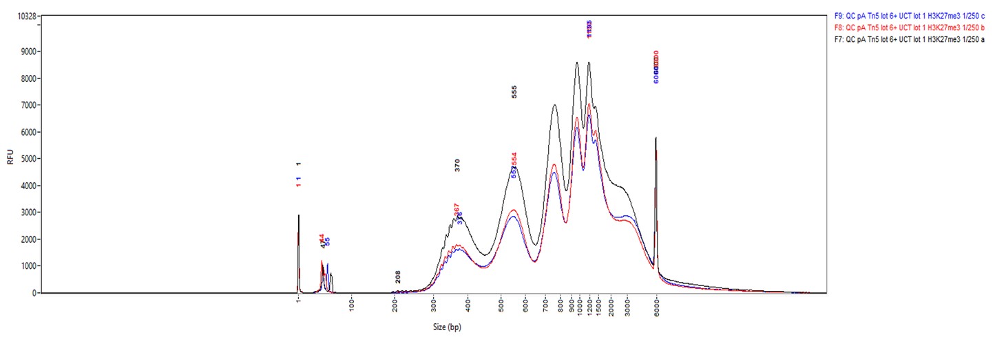 Rabbit IgG validated in CUT and Tag