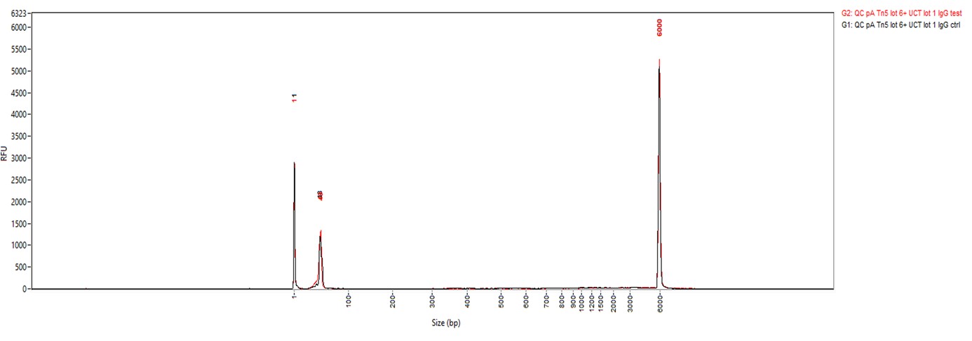 Rabbit IgG validated in CUT and Tag