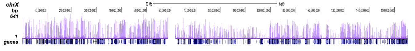 CTCF Antibody ChIP-seq Grade