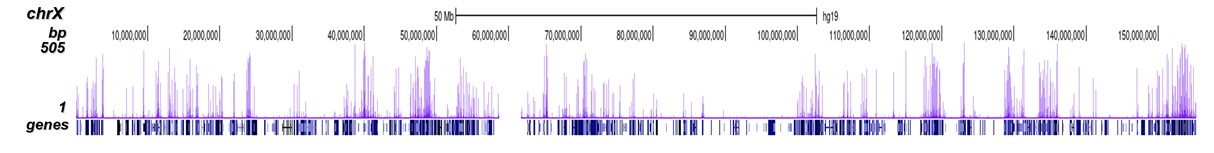 H3K56ac Antibody ChIP-seq Grade