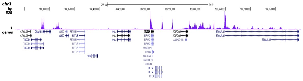 H3K56ac Antibody for ChIP-seq assay