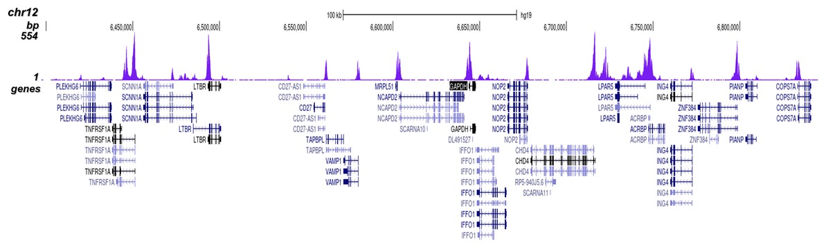 H3K56ac Antibody validated in ChIP-seq