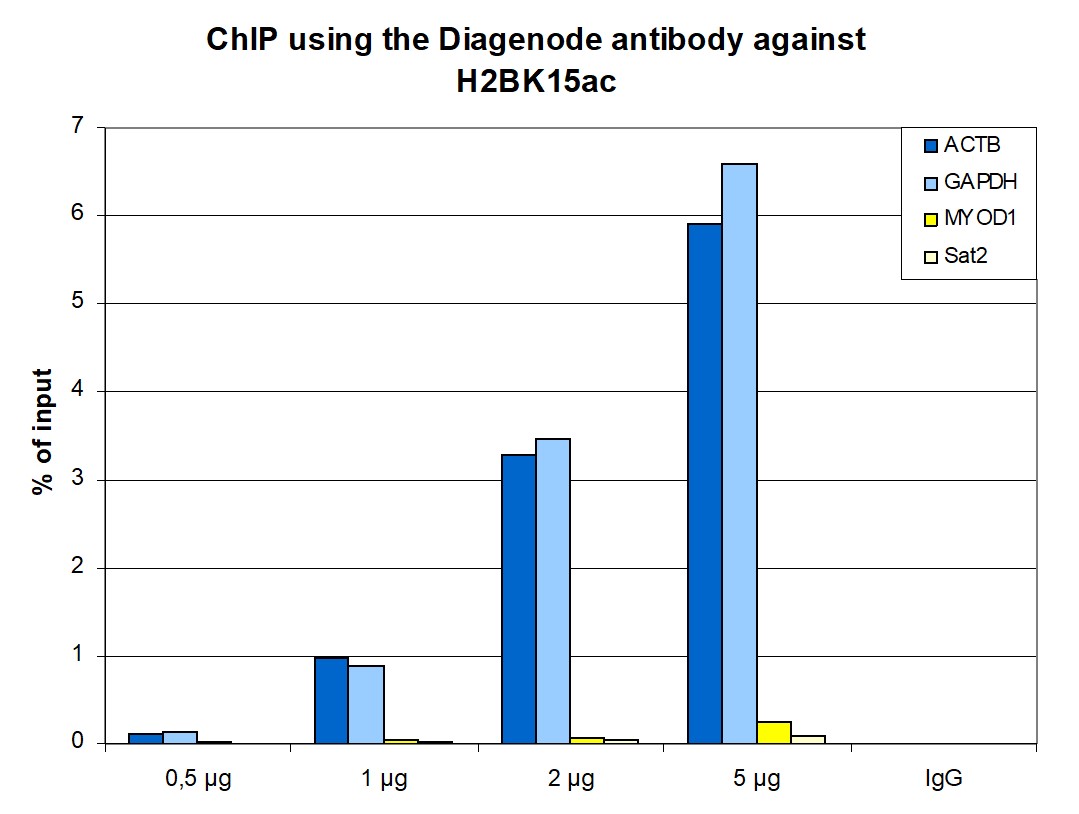 H2BK15ac Antibody ChIP Grade