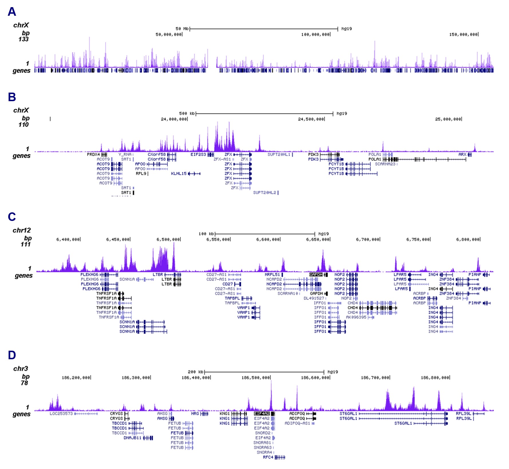 H3K4ac Antibody ChIP-seq Grade