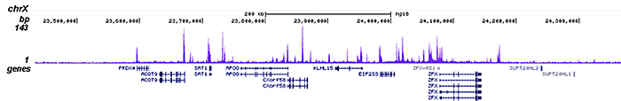 HDAC1 Antibody for ChIP-seq 