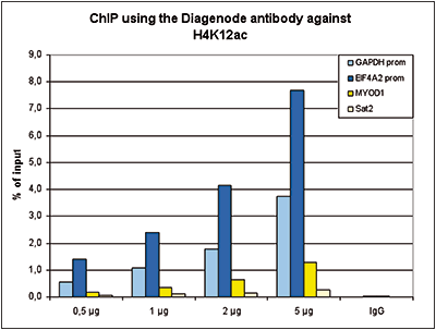 H4K12ac Antibody ChIP Grade