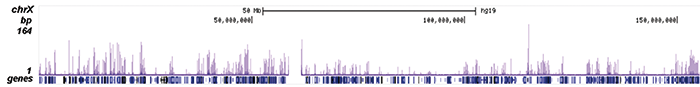 H4K12ac Antibody ChIP-seq Grade