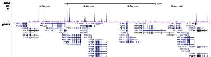 H4K12ac Antibody for ChIP-seq 