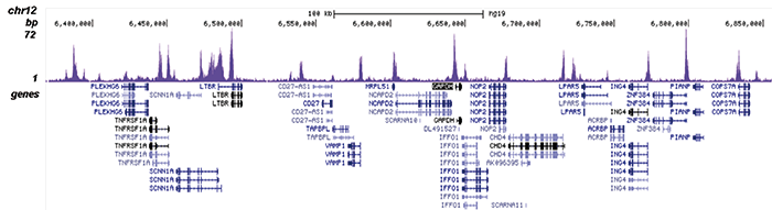 H4K12ac Antibody for ChIP-seq assay