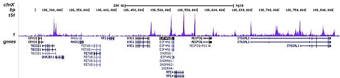 H4K12ac Antibody validated in ChIP-seq 