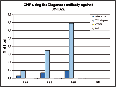 JMJD2a Antibody ChIP Grade