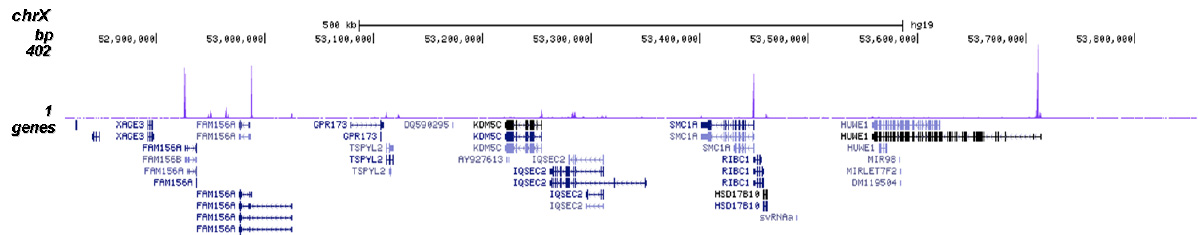 JMJD2a Antibody for ChIP-seq assay